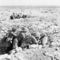 300px-australiansattobruk_small_square
