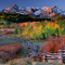 Ridgway_small_square