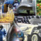 Economia_colombiana_small_square