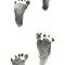 Feet_small_square
