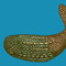 First_fish_small_square