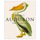 Birds of america