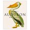 Birds_of_america_small_square