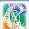 Camogie_small_square