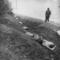 Zitler_execution_large_small_square
