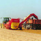 Harvesting_small_square