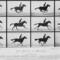 Muybridge_galloping_horse_small_square