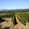 3829390997_01f4c55f9b_small_square