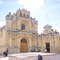 _antspedro1_small_square