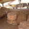 _antclaustroarz2_small_square
