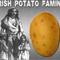 Irish potato famine small square